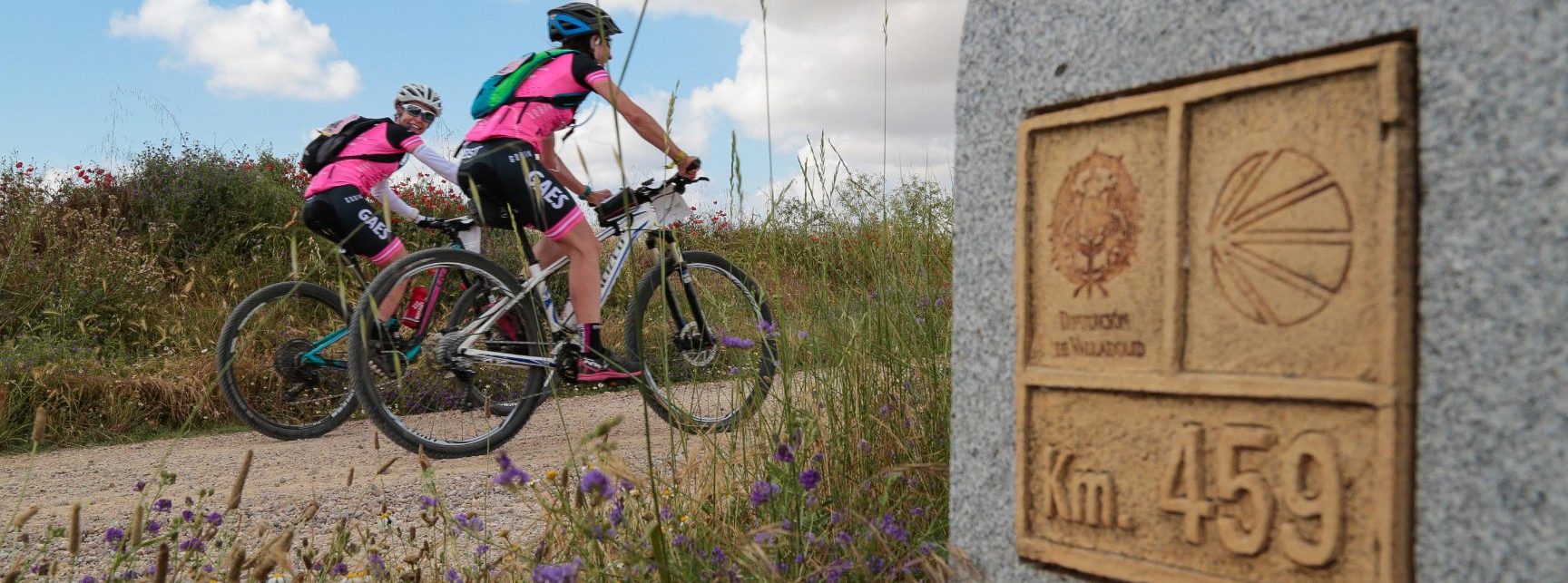 El Camino de Santiago vuelve a la vida
